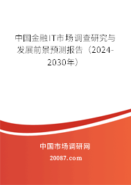 中国金融IT市场调查研究与发展前景预测报告（2024-2030年）