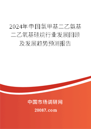 2024年中国氯甲基二乙氨基二乙氧基硅烷行业发展回顾及发展趋势预测报告