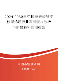 2024-2030年中国马来酸酐接枝聚烯烃行业发展现状分析与前景趋势预测报告