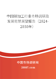 中国镁加工行业市场调研及发展前景展望报告（2024-2030年）