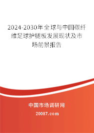 2024-2030年全球与中国碳纤维足球护腿板发展现状及市场前景报告