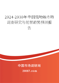 2024-2030年中国雪地胎市场调查研究与前景趋势预测报告