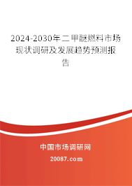 2024-2030年二甲醚燃料市场现状调研及发展趋势预测报告