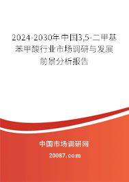 2024-2030年中国3,5-二甲基苯甲酸行业市场调研与发展前景分析报告