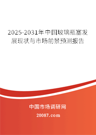 2025-2031年中国玻璃瓶塞发展现状与市场前景预测报告 2025-2031年中国玻璃瓶塞发展现状与市场前景预测报告