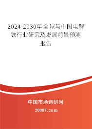 2024-2030年全球与中国电解铁行业研究及发展前景预测报告