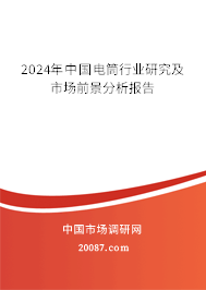 2024年中国电筒行业研究及市场前景分析报告