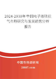 2024-2030年中国电子级硅烷气市场研究与发展趋势分析报告