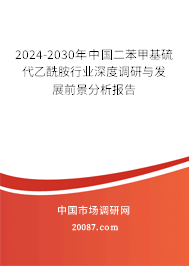 2024-2030年中国二苯甲基硫代乙酰胺行业深度调研与发展前景分析报告