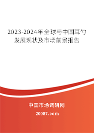 2023-2024年全球与中国耳勺发展现状及市场前景报告