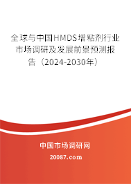 全球与中国HMDS增粘剂行业市场调研及发展前景预测报告（2024-2030年）