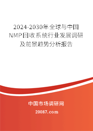 2024-2030年全球与中国NMP回收系统行业发展调研及前景趋势分析报告