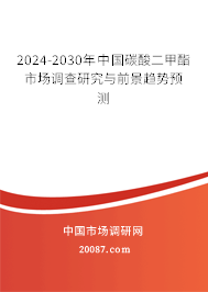 2024-2030年中国碳酸二甲酯市场调查研究与前景趋势预测