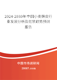 2024-2030年中国小麦麸皮行业发展分析及前景趋势预测报告