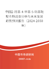 中国2-羟基-4-甲基-5-硝基吡啶市场调查分析与未来发展趋势预测报告（2024-2030年）