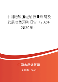 中国胞磷胆缄纳行业调研及发展趋势预测报告（2024-2030年）