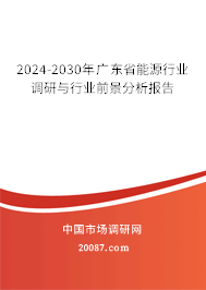 2024-2030年广东省能源行业调研与行业前景分析报告