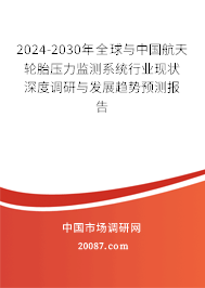 2024-2030年全球与中国航天轮胎压力监测系统行业现状深度调研与发展趋势预测报告