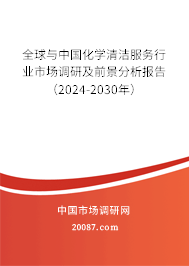 全球与中国化学清洁服务行业市场调研及前景分析报告（2024-2030年）