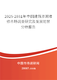 2025-2031年中国建筑渗漏维修市场调查研究及发展前景分析报告 2025-2031年中国建筑渗漏维修市场调查研究及发展前景分析报告