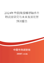 2024年中国角接触球轴承市场调查研究与未来发展前景预测报告