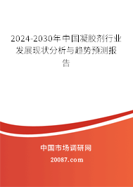 2024-2030年中国凝胶剂行业发展现状分析与趋势预测报告