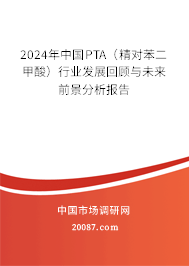 2024年中国PTA（精对苯二甲酸）行业发展回顾与未来前景分析报告