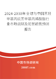 2024-2030年全球与中国三羟甲基丙烷三甲基丙烯酸酯行业市场调研及前景趋势预测报告