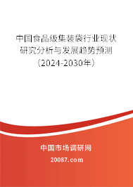 中国食品级集装袋行业现状研究分析与发展趋势预测（2024-2030年）