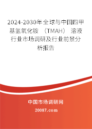 2024-2030年全球与中国四甲基氢氧化铵 （TMAH） 溶液行业市场调研及行业前景分析报告