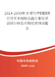 2024-2030年全球与中国图像引导手术辅助设备行业现状调研分析及市场前景预测报告