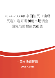 2024-2030年中国油页（油母页岩）岩开发利用市场调查研究与前景趋势报告