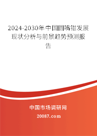 2024-2030年中国圆嘴钳发展现状分析与前景趋势预测报告