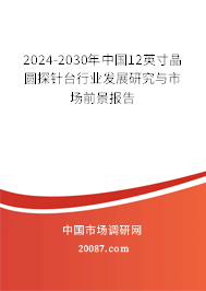 2024-2030年中国12英寸晶圆探针台行业发展研究与市场前景报告