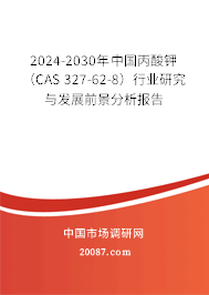 2024-2030年中国丙酸钾（CAS 327-62-8）行业研究与发展前景分析报告