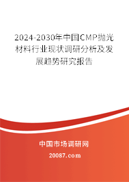 2024-2030年中国CMP抛光材料行业现状调研分析及发展趋势研究报告