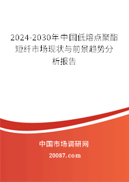 2024-2030年中国低熔点聚酯短纤市场现状与前景趋势分析报告