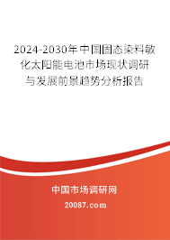 2024-2030年中国固态染料敏化太阳能电池市场现状调研与发展前景趋势分析报告