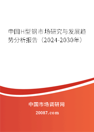 中国H型钢市场研究与发展趋势分析报告（2024-2030年）