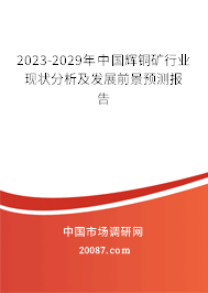 2023-2029年中国辉铜矿行业现状分析及发展前景预测报告