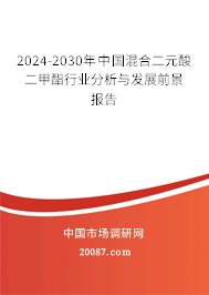 2024-2030年中国混合二元酸二甲酯行业分析与发展前景报告