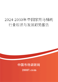 2024-2030年中国家用马桶刷行业现状与发展趋势报告