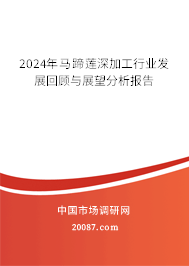 2024年马蹄莲深加工行业发展回顾与展望分析报告