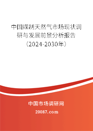 中国煤制天然气市场现状调研与发展前景分析报告（2024-2030年）