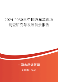 2024-2030年中国汽车革市场调查研究与发展前景报告