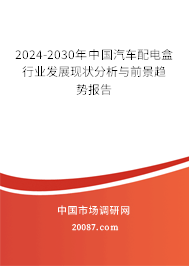 2024-2030年中国汽车配电盒行业发展现状分析与前景趋势报告