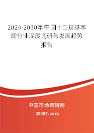 2024-2030年中国十二烷基苯酚行业深度调研与发展趋势报告