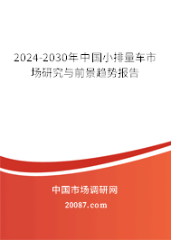 2024-2030年中国小排量车市场研究与前景趋势报告