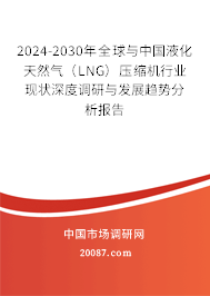 2024-2030年全球与中国液化天然气（LNG）压缩机行业现状深度调研与发展趋势分析报告