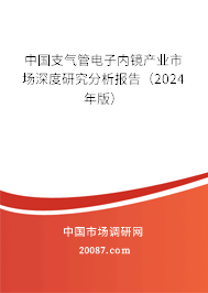 中国支气管电子内镜产业市场深度研究分析报告（2024年版）